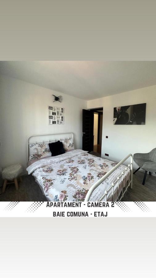 Vila Mik Guesthouse Sacele Luaran gambar